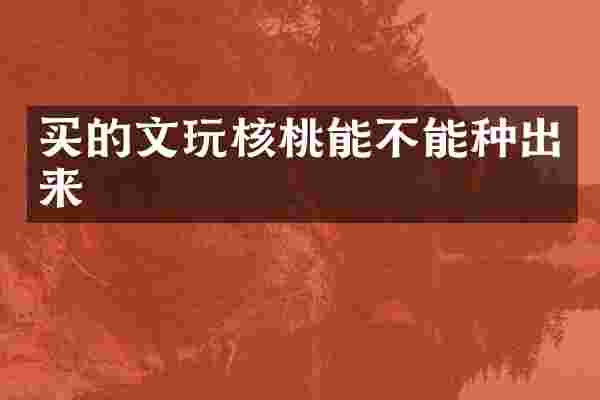 买的文玩核桃能不能种出来