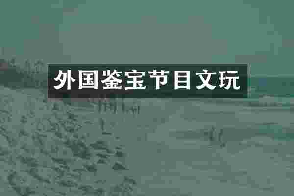 外国鉴宝节目文玩