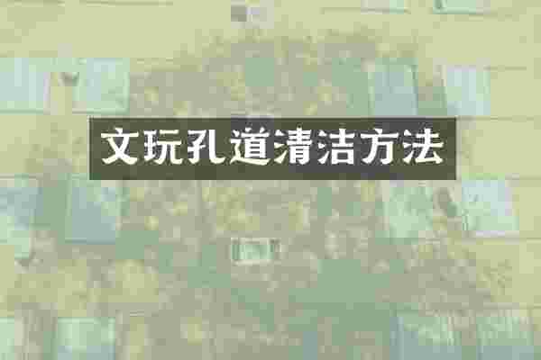 文玩孔道清洁方法