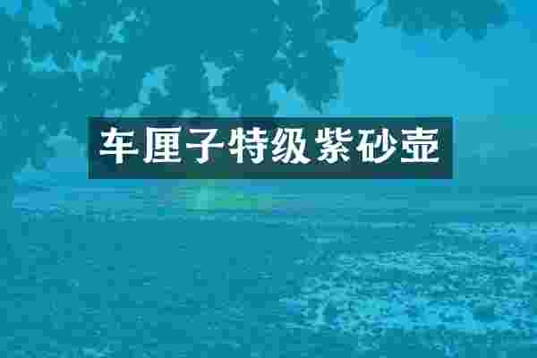 车厘子特级紫砂壶
