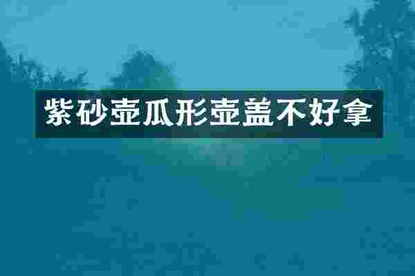 紫砂壶瓜形壶盖不好拿