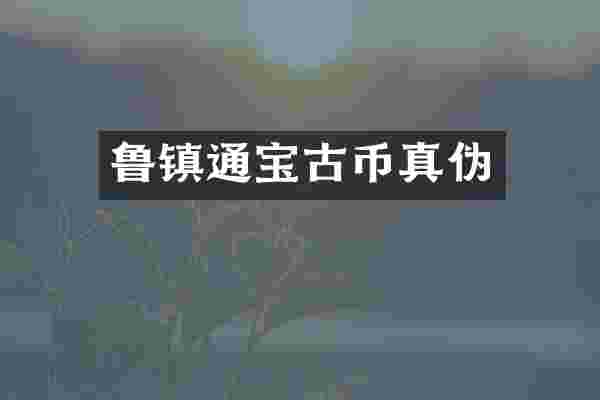 鲁镇通宝古币真伪