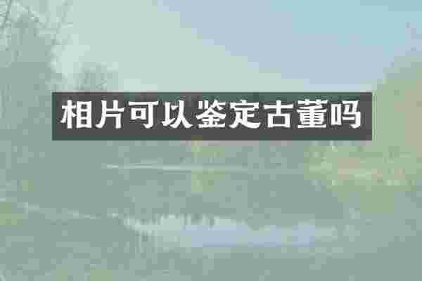 相片可以鉴定古董吗