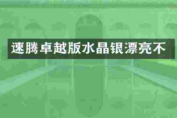 速腾卓越版水晶银漂亮不