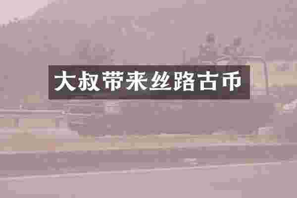 大叔带来丝路古币