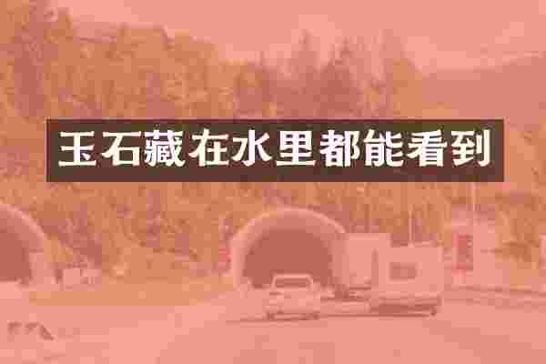 玉石藏在水里都能看到