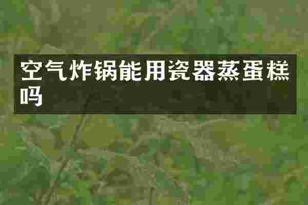 空气炸锅能用瓷器蒸蛋糕吗