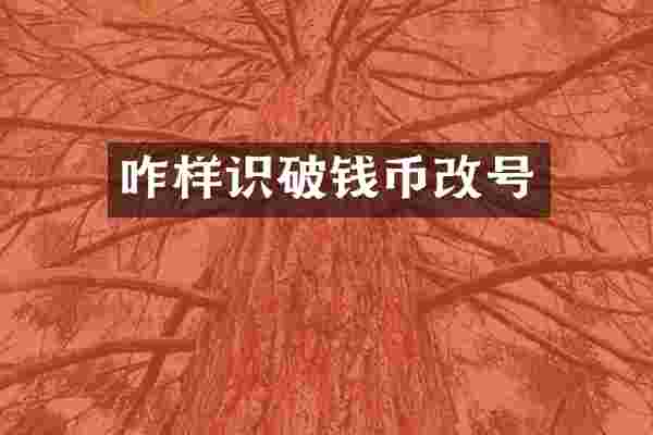 咋样识破钱币改号