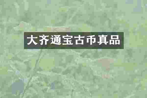 大齐通宝古币真品