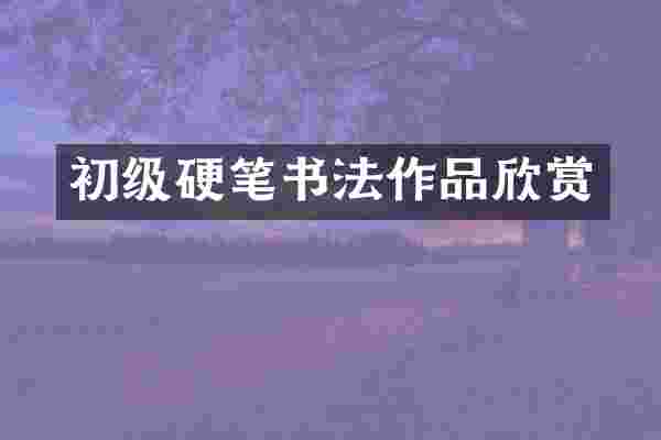 初级硬笔书法作品欣赏