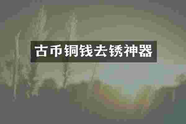 古币铜钱去锈神器