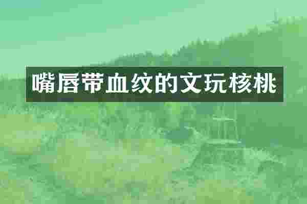 嘴唇带血纹的文玩核桃