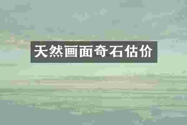 天然画面奇石估价
