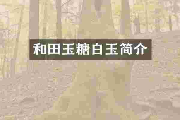 和田玉糖白玉简介