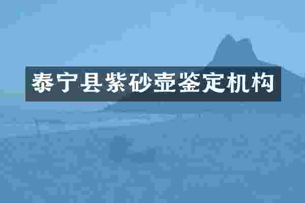 泰宁县紫砂壶鉴定机构