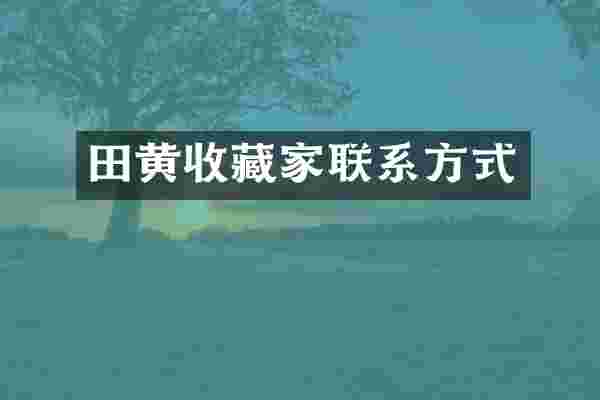 田黄收藏家联系方式