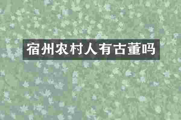 宿州农村人有古董吗
