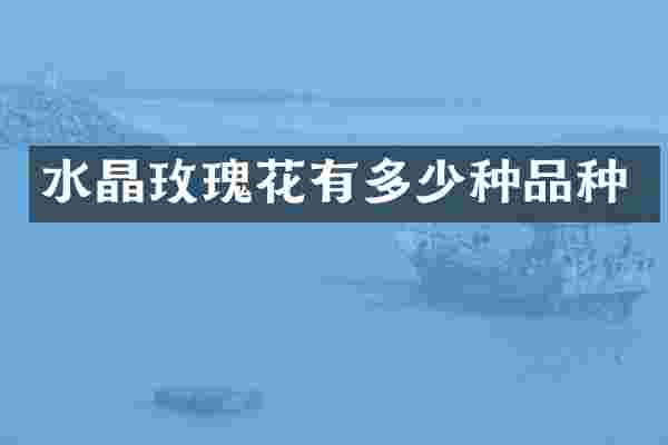 水晶玫瑰花有多少种品种