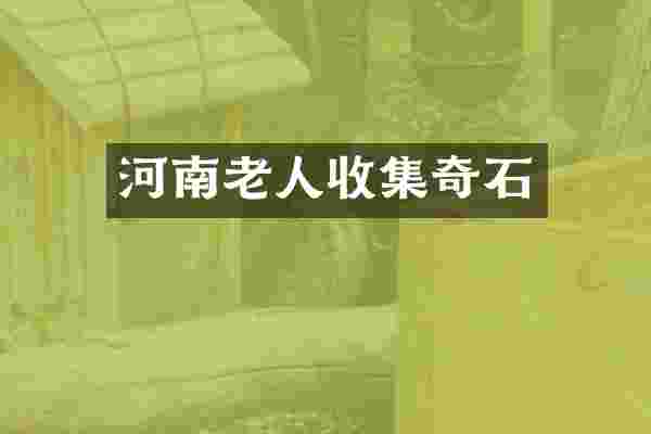 河南老人收集奇石
