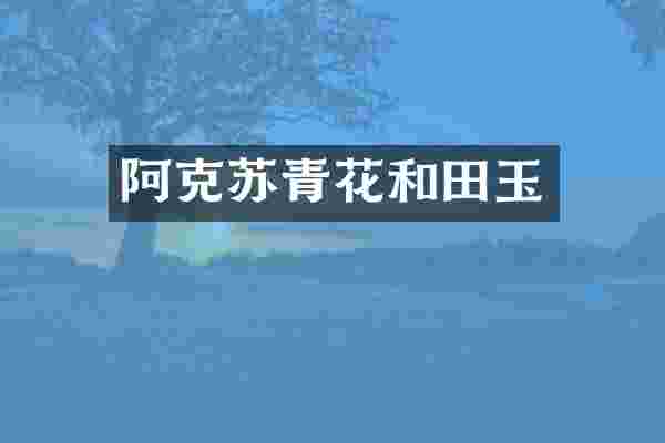 阿克苏青花和田玉