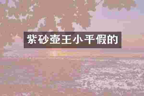 紫砂壶王小平假的