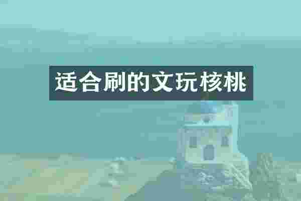 适合刷的文玩核桃