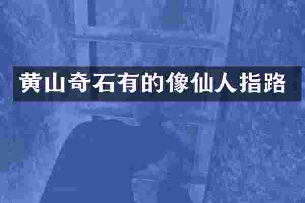 黄山奇石有的像仙人指路