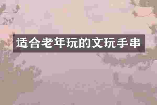 适合老年玩的文玩手串