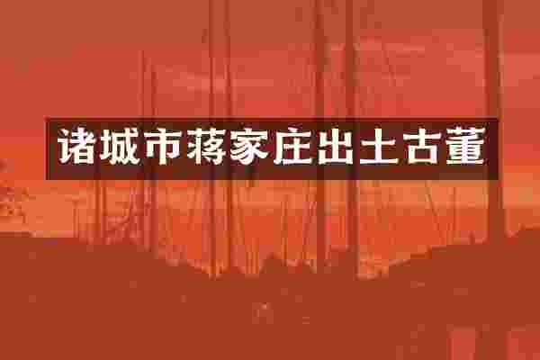 诸城市蒋家庄出土古董