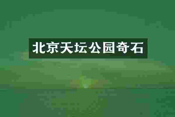 北京天坛公园奇石