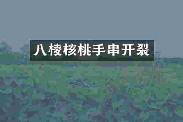 八棱核桃手串开裂