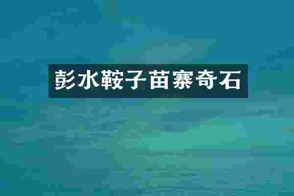 彭水鞍子苗寨奇石