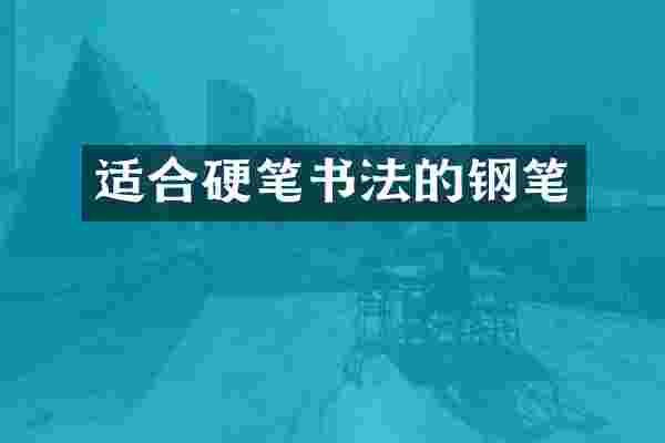 适合硬笔书法的钢笔