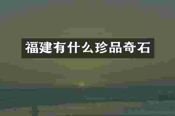 福建有什么珍品奇石