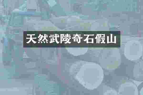 天然武陵奇石假山