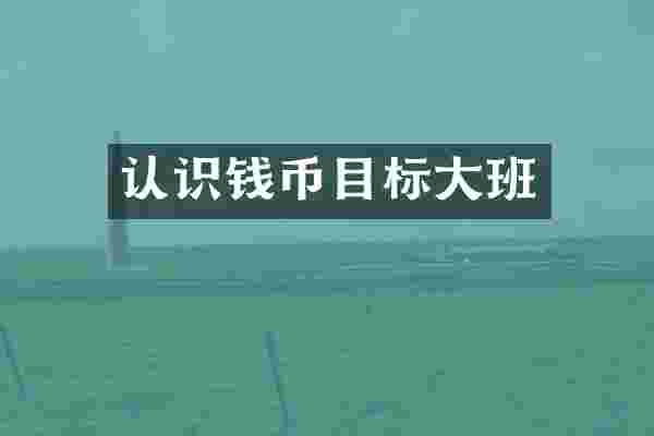 认识钱币目标大班