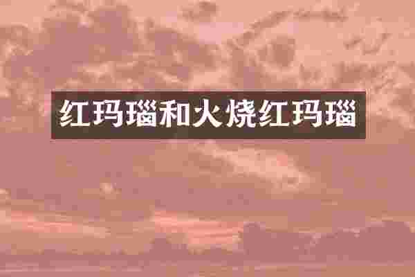 红玛瑙和火烧红玛瑙