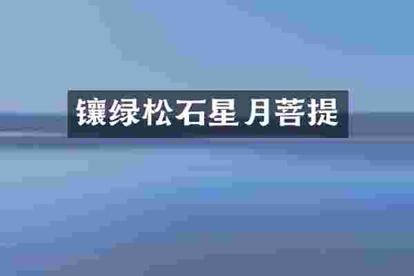 镶绿松石星月菩提