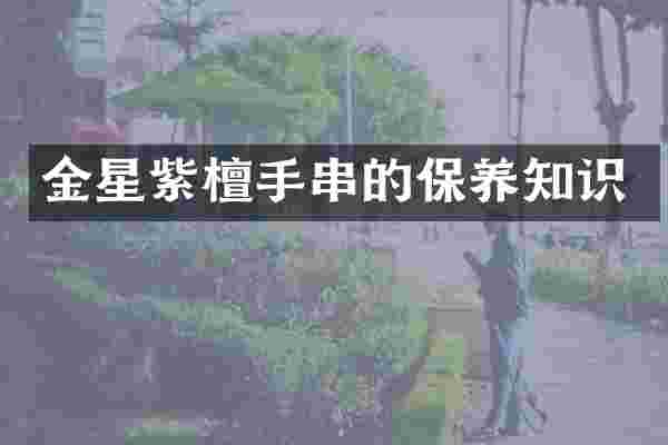 金星紫檀手串的保养知识