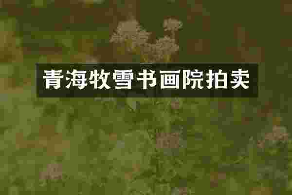 青海牧雪书画院拍卖