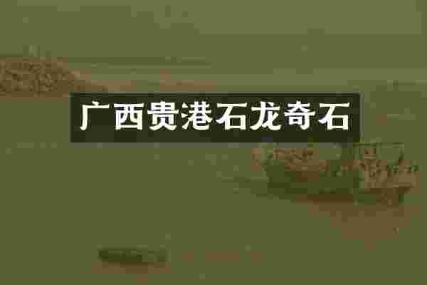 广西贵港石龙奇石