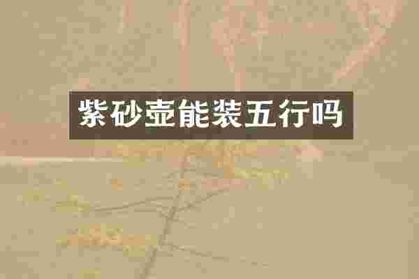 紫砂壶能装五行吗