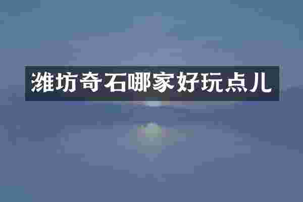 潍坊奇石哪家好玩点儿