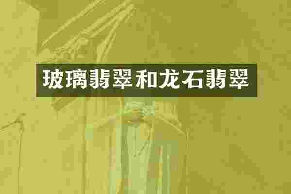 玻璃翡翠和龙石翡翠