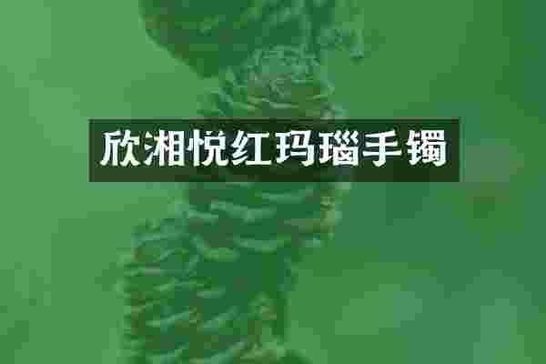 欣湘悦红玛瑙手镯