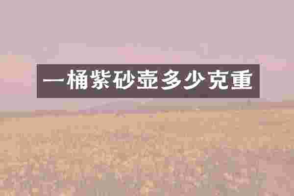 一桶紫砂壶多少克重