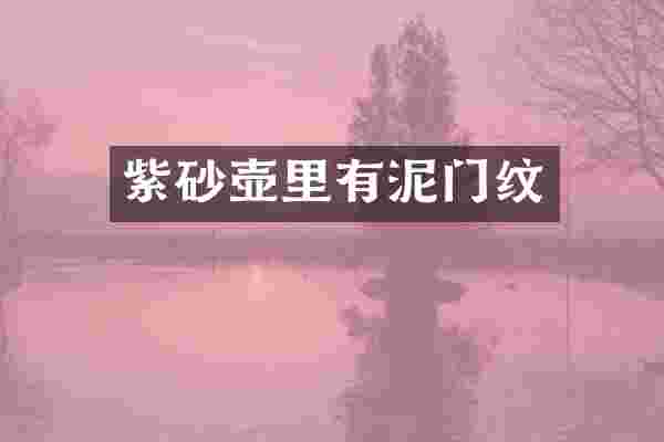 紫砂壶里有泥门纹