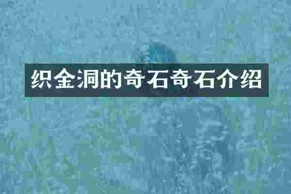 织金洞的奇石奇石介绍
