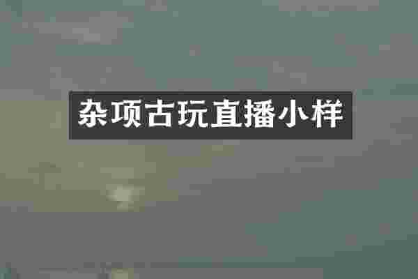 杂项古玩直播小样