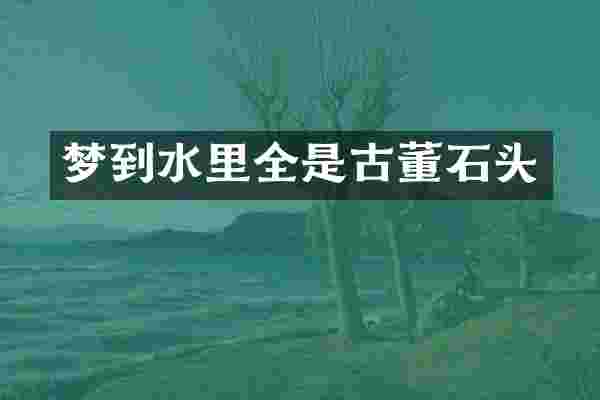 梦到水里全是古董石头